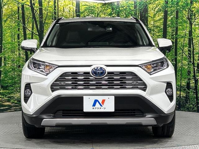 ＲＡＶ４ ハイブリッドＧ　４ＷＤ　純正９型ナビ　バックカメラ　寒冷地仕様　セーフティセンス　レーダークルーズ　電動リアゲート　シートヒーター　メモリー機能付きパワーシート　ステアリングヒーター　ドラレコ　コーナーセンサー（17枚目）