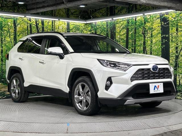 ＲＡＶ４ ハイブリッドＧ　４ＷＤ　純正９型ナビ　バックカメラ　寒冷地仕様　セーフティセンス　レーダークルーズ　電動リアゲート　シートヒーター　メモリー機能付きパワーシート　ステアリングヒーター　ドラレコ　コーナーセンサー（19枚目）