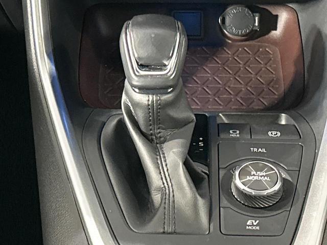 ＲＡＶ４ ハイブリッドＧ　４ＷＤ　純正９型ナビ　バックカメラ　寒冷地仕様　セーフティセンス　レーダークルーズ　電動リアゲート　シートヒーター　メモリー機能付きパワーシート　ステアリングヒーター　ドラレコ　コーナーセンサー（28枚目）