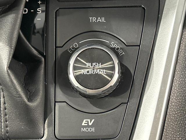 ＲＡＶ４ ハイブリッドＧ　４ＷＤ　純正９型ナビ　バックカメラ　寒冷地仕様　セーフティセンス　レーダークルーズ　電動リアゲート　シートヒーター　メモリー機能付きパワーシート　ステアリングヒーター　ドラレコ　コーナーセンサー（41枚目）