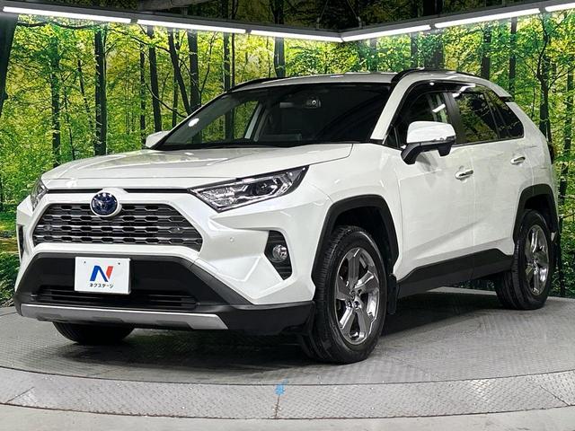 ＲＡＶ４ ハイブリッドＧ　４ＷＤ　純正９型ナビ　バックカメラ　寒冷地仕様　セーフティセンス　レーダークルーズ　電動リアゲート　シートヒーター　メモリー機能付きパワーシート　ステアリングヒーター　ドラレコ　コーナーセンサー（52枚目）