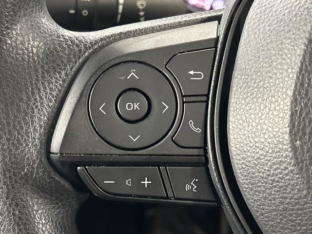 ＲＡＶ４ Ｘ　４ＷＤ　８型ディスプレイオーディオ　バックカメラ　寒冷地仕様　セーフティセンス　レーダークルーズ　電動パーキングブレーキ　ドラレコ　コーナーセンサー　ＬＥＤ　ＥＴＣ　オートハイビーム　デュアルエアコン（29枚目）