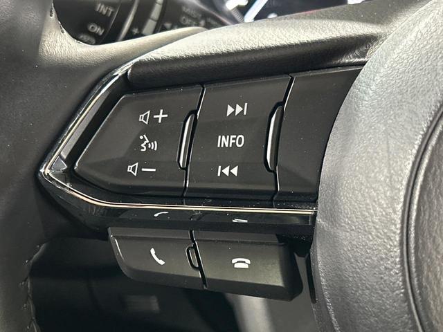 ＣＸ－８ ＸＤプロアクティブ　Ｓパッケージ　４ＷＤ　ターボ　７人乗り　純正８型ナビ　全周囲カメラ　スマートシティブレーキサポート　ブラインドスポットモニタリング　レーダークルーズ　電動リアゲート　革シート　前席＋中席シートエアコン　パワーシート（30枚目）