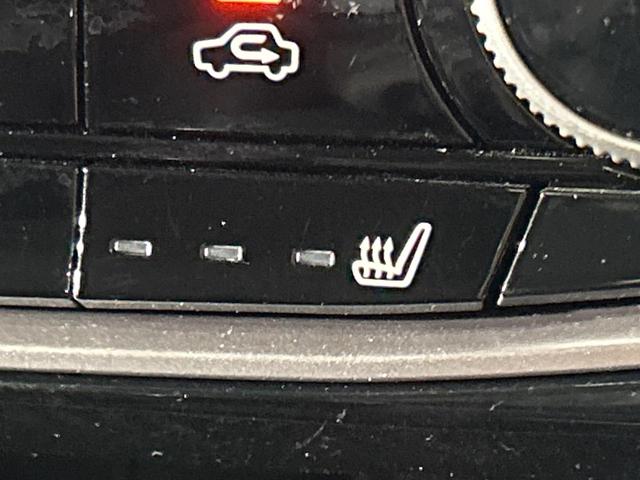 フォレスター アドバンス 本州仕入 SDナビ 禁煙車 アイサイト スマートリアビューミラー フロントカメラ バックカメラ リアビークルディティクション メモリー付きパワーシート 全席シートヒーター ステアリングヒーター(9枚目)