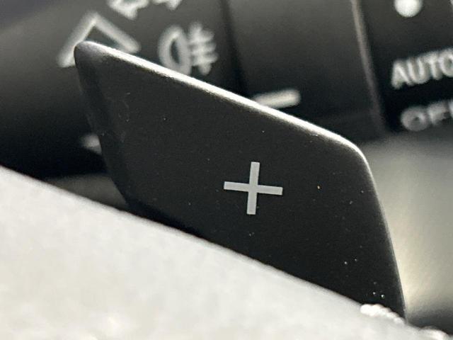 フォレスター アドバンス 本州仕入 SDナビ 禁煙車 アイサイト スマートリアビューミラー フロントカメラ バックカメラ リアビークルディティクション メモリー付きパワーシート 全席シートヒーター ステアリングヒーター(37枚目)