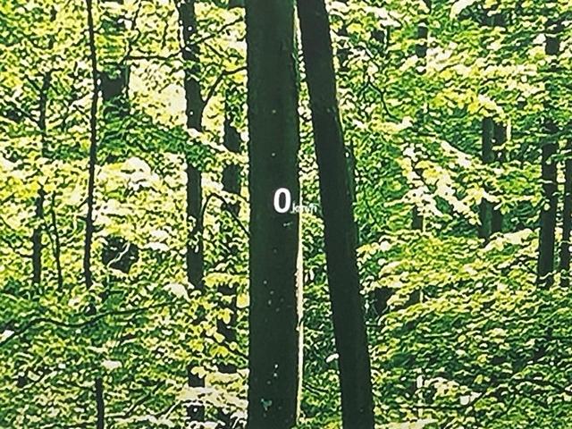 CX-5 XD ブラックトーンエディション 4WD ディーゼル(軽油) サンルーフ BOSEサウンド 10.25型マツダコネクト 全周囲カメラ スマートシティブレーキサポート レーダークルーズ ブラインドスポットモニタリング シートヒーター(52枚目)