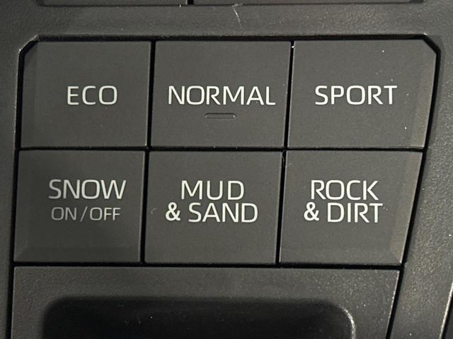 ＲＡＶ４ Ｘ　４ＷＤ　ＳＤナビ　バックカメラ　寒冷地仕様　トヨタセーフティセンス　レーダークルーズコントロール　マルチテレインセレクト　スマートキー　ＬＥＤ　ルーフレール　オートハイビーム　車線逸脱警報（9枚目）