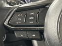 ＸＤ　Ｌパッケージ　４ＷＤ　ディーゼル　フルエアロ　ＢＯＳＥ　マツダコネクトナビ　バックカメラ　衝突被害軽減システム　レーダークルーズ　メモリー機能付きパワーシート　ブラインドスポットモニター　禁煙車　電動リアゲート（53枚目）