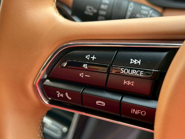 ＣＸ－６０ ＸＤ－ハイブリッド　プレミアムスポーツ　マツダコネクトナビＴＶ／ＢＯＳＥ／パノラマサンルーフ／３６０度モニター／茶革／ＬＥＤヘッドライト／シートヒーター／シートエアコン／ワイヤレス充電／ステアリングヒーター／レーダークルーズ／ＥＴＣ／（31枚目）