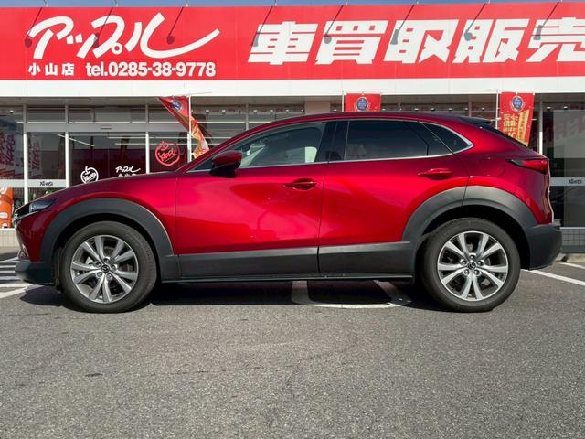 ＣＸ－３０ ＸＤ　プロアクティブ　ツーリングセレクション　コネクトナビ／３６０度モニター／スマートブレーキサポート／パワーリアゲート／クルージングトラフィックサポート／ステアリングヒーター／シートヒーター／ＥＴＣ／ＬＥＤヘッドライト／パワーシート／（14枚目）