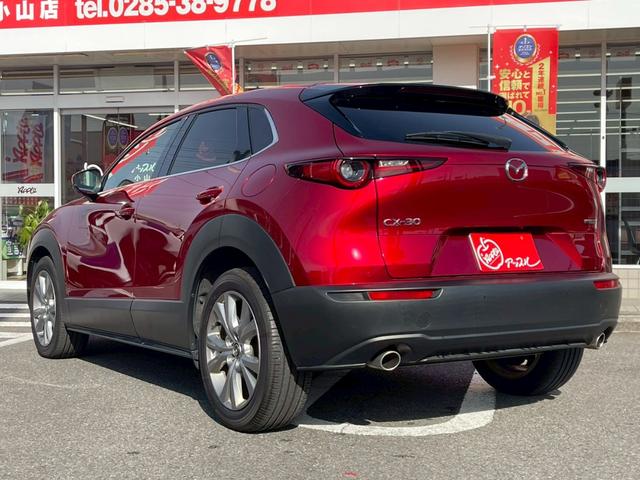 ＣＸ－３０ ＸＤ　プロアクティブ　ツーリングセレクション　コネクトナビ／３６０度モニター／スマートブレーキサポート／パワーリアゲート／クルージングトラフィックサポート／ステアリングヒーター／シートヒーター／ＥＴＣ／ＬＥＤヘッドライト／パワーシート／（16枚目）