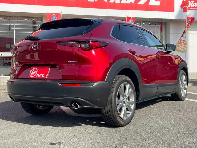 ＣＸ－３０ ＸＤ　プロアクティブ　ツーリングセレクション　コネクトナビ／３６０度モニター／スマートブレーキサポート／パワーリアゲート／クルージングトラフィックサポート／ステアリングヒーター／シートヒーター／ＥＴＣ／ＬＥＤヘッドライト／パワーシート／（18枚目）