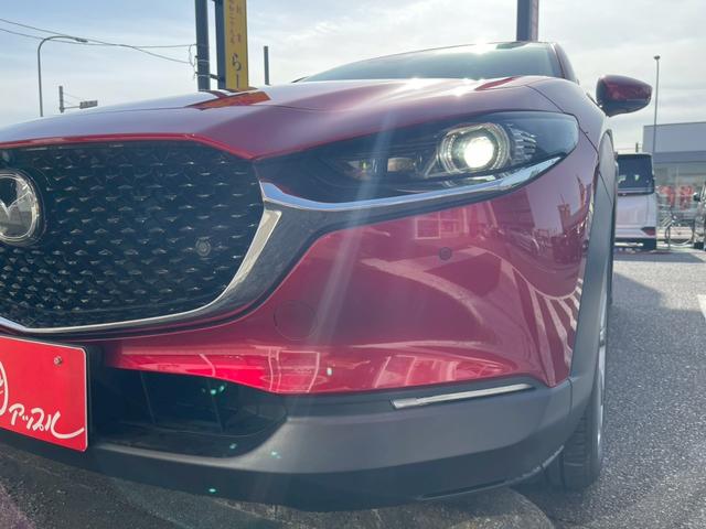 ＣＸ－３０ ＸＤ　プロアクティブ　ツーリングセレクション　コネクトナビ／３６０度モニター／スマートブレーキサポート／パワーリアゲート／クルージングトラフィックサポート／ステアリングヒーター／シートヒーター／ＥＴＣ／ＬＥＤヘッドライト／パワーシート／（19枚目）