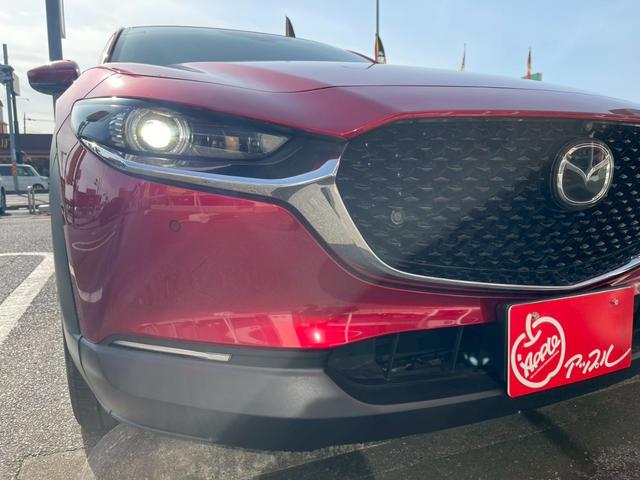 ＣＸ－３０ ＸＤ　プロアクティブ　ツーリングセレクション　コネクトナビ／３６０度モニター／スマートブレーキサポート／パワーリアゲート／クルージングトラフィックサポート／ステアリングヒーター／シートヒーター／ＥＴＣ／ＬＥＤヘッドライト／パワーシート／（21枚目）