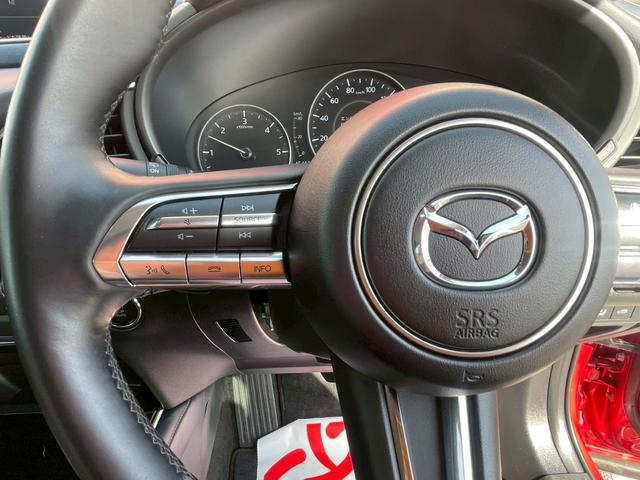 ＣＸ－３０ ＸＤ　プロアクティブ　ツーリングセレクション　コネクトナビ／３６０度モニター／スマートブレーキサポート／パワーリアゲート／クルージングトラフィックサポート／ステアリングヒーター／シートヒーター／ＥＴＣ／ＬＥＤヘッドライト／パワーシート／（38枚目）