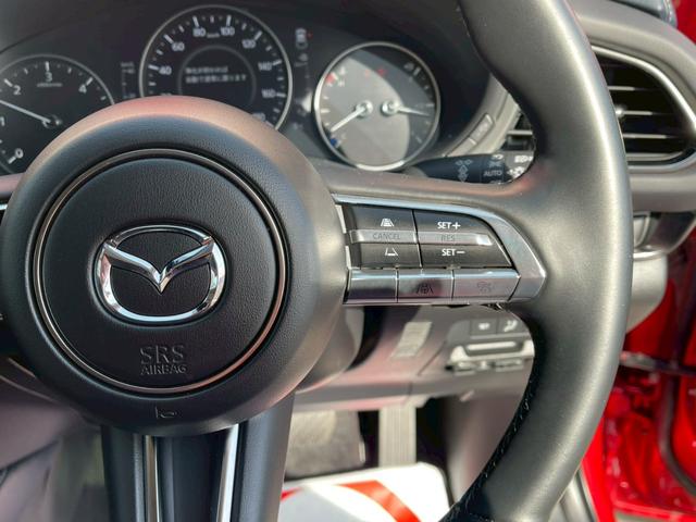 ＣＸ－３０ ＸＤ　プロアクティブ　ツーリングセレクション　コネクトナビ／３６０度モニター／スマートブレーキサポート／パワーリアゲート／クルージングトラフィックサポート／ステアリングヒーター／シートヒーター／ＥＴＣ／ＬＥＤヘッドライト／パワーシート／（39枚目）