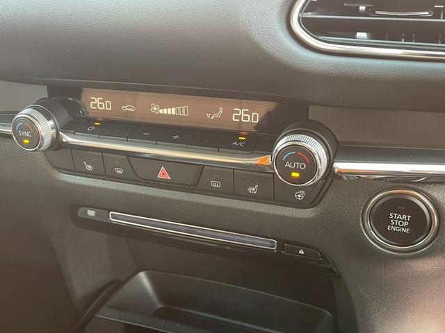 ＣＸ－３０ ＸＤ　プロアクティブ　ツーリングセレクション　コネクトナビ／３６０度モニター／スマートブレーキサポート／パワーリアゲート／クルージングトラフィックサポート／ステアリングヒーター／シートヒーター／ＥＴＣ／ＬＥＤヘッドライト／パワーシート／（44枚目）