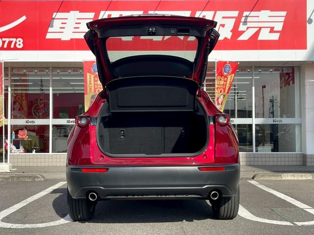 ＣＸ－３０ ＸＤ　プロアクティブ　ツーリングセレクション　コネクトナビ／３６０度モニター／スマートブレーキサポート／パワーリアゲート／クルージングトラフィックサポート／ステアリングヒーター／シートヒーター／ＥＴＣ／ＬＥＤヘッドライト／パワーシート／（48枚目）