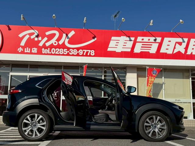 ���̂�Ŕ��A�b�v���̃A���o�T�_�[�́u�̂�v����B�Ԃ𔄂鎞�A�������ɕs���ɂȂ�����Y��ł���ƁA�̂�ƃl�R����񂪌���܂��B�A�b�v���Ɉ��S���Ă����k�������B