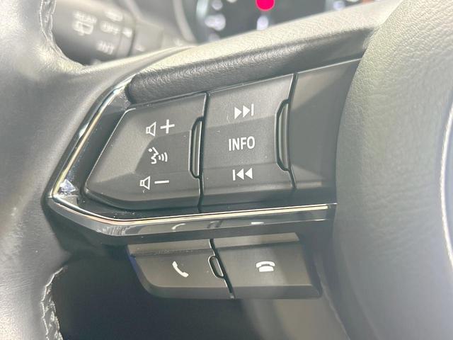 ＣＸ－８ ＸＤ　Ｌパッケージ　純正８型ナビ　全周囲カメラ　ＢＯＳＥサウンド　７人乗り　シートエアコン　革シート　パワーバックドア　レーダークルーズ　メモリー付パワーシート　ＬＥＤヘッド・フォグ　ドラレコ　ＥＴＣ　純正１９ＡＷ（34枚目）