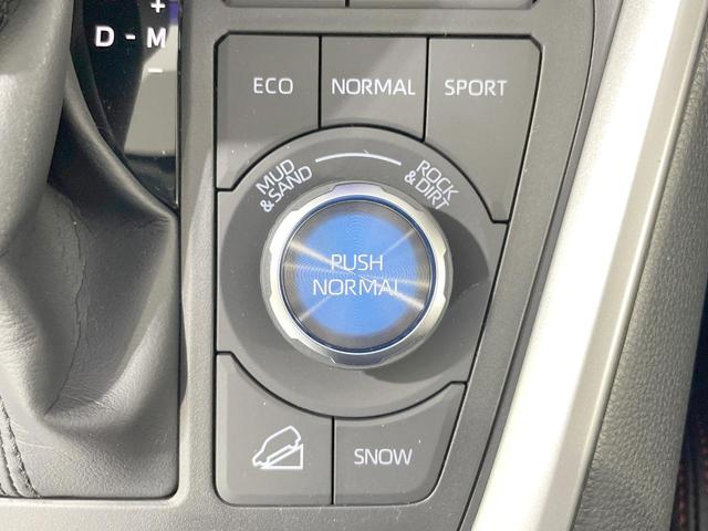 ＲＡＶ４ アドベンチャー　オフロードパッケージＩＩ　登録済未使用車　純正１０型ＤＡ　バックカメラ　衝突軽減　レーダークルーズ　シートヒーター＆エアコン　パワーシート　ＬＥＤヘッド　スマートキー　ＥＴＣ　純正ＡＷ（38枚目）