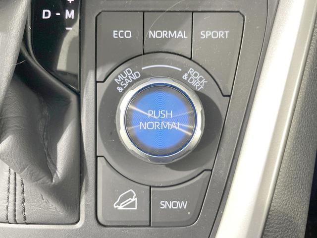 ＲＡＶ４ アドベンチャー　純正１０型ＤＡ　バックカメラ　衝突軽減　シートヒーター＆エアコン　レーダークルーズ　パワーシート　純正ＡＷ　スマートキー　オートハイビーム　ＥＴＣ　横滑り防止（39枚目）