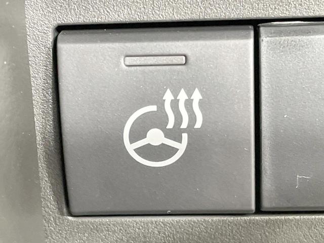 スペーシアカスタム ハイブリッドXS 届出済未使用車 シートヒーター 両側電動ドア 衝突軽減 レーダークルーズ ステアリングヒーター LEDヘッド・フォグ アイドリングストップ 純正15AW 横滑り防止 スマートキー オートエアコン(29枚目)