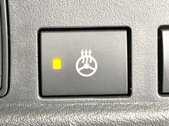 ルークス ハイウェイスター Gターボプロパイロットエディション 純正9型ナビ 全周囲カメラ 衝突軽減 プロパイロット 両側電動ドア ETC デジタルインナーミラー ドラレコ ステアリングヒーター LEDヘッド・フォグ アイドリングストップ スマートキー(30枚目)