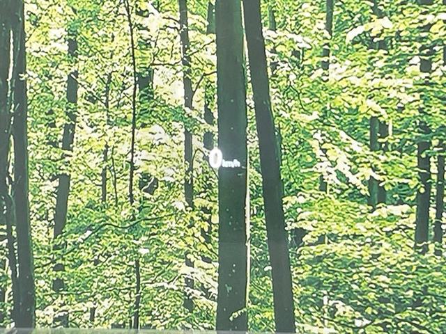 ＣＸ－８ ＸＤ　スマートエディション　後席モニター　純正１０型ナビ　全周囲カメラ　衝突軽減　レーダークルーズ　ＥＴＣ　ＬＥＤヘッド　７人乗り　純正１７ＡＷ　コーナーセンサー　アイドリングストップ　ステアリングスイッチ　スマートキー（42枚目）