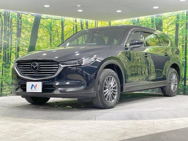 ＣＸ－８ ＸＤ　スマートエディション　後席モニター　純正１０型ナビ　全周囲カメラ　衝突軽減　レーダークルーズ　ＥＴＣ　ＬＥＤヘッド　７人乗り　純正１７ＡＷ　コーナーセンサー　アイドリングストップ　ステアリングスイッチ　スマートキー（65枚目）