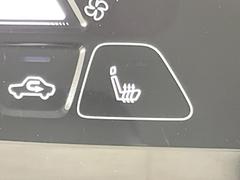 �ڥ����ȥҡ������۴������˽������륷���ȥҡ������������������᤯���ޤäƤ����ΤǴ�����οͤ�¿��Ǥ��͢���������β����ϴ��礹�뤫���ꡢ�Ȥ������ˤ�򤪤�����Ǥ��� 6