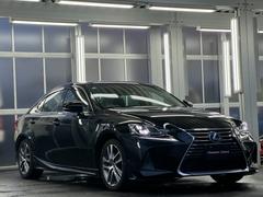 ɣ ɣӣ衡졼롼ϡե쥶ȡ֥饤ɥݥåȥ˥ 0301908A30251022W002 5