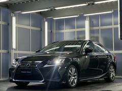 ɣ ɣӣ衡졼롼ϡե쥶ȡ֥饤ɥݥåȥ˥ 0301908A30251022W002 6