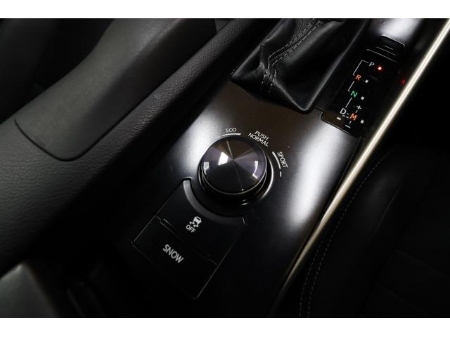 IS IS250 夏冬タイヤ 黒半革 ドラレコ パワーシート Bカメラ 純正SDナビ/地デジ CD/DVD/Bluetooth レーダークルーズ ステアヒーター/シートヒーター コーナーセンサー ETC 寒冷地仕様車(48枚目)