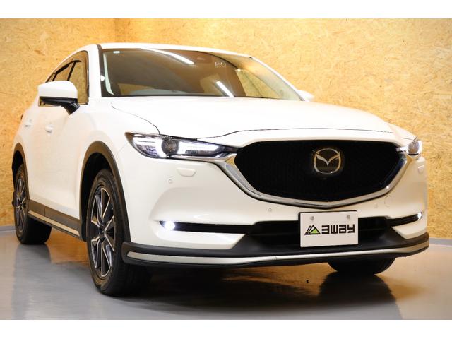 �t�����g�r���[