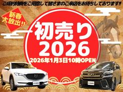 ��������ǯ�ν����ϣ�����������ȤǤ������ڤ��ߤ�������ŵ���Ѱդ��Ƴ����ޤΤ���Ź���Ԥ����Ƥ���ޤ��� 2