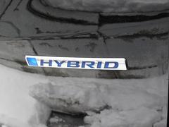 �ե꡼�ɥϥ��֥�å� �ϥ��֥�åɡ��� 0301925A30251201W002 7