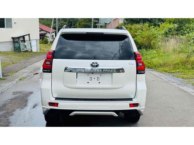 ランドクルーザープラド ＴＸ　Ｌパッケージ　４ＷＤ　ドライブレコーダー　バックカメラ　オートクルーズコントロール　レーンアシスト　衝突被害軽減システム　サンルーフ　ナビ　ＴＶ　オートマチックハイビーム　オートライト　ＬＥＤヘッドランプ（17枚目）