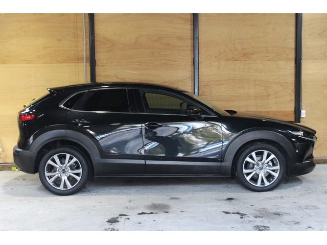 ＣＸ－３０ ２０Ｓ　プロアクティブ　スマートシティブレーキサポート　マツダコネクト　ＴＶ　ドラレコ　ブラインドスポットモニタリング　Ｂｌｕｅｔｏｏｔｈ　パワーバックドア　オートクルーズ　シートヒーター　ＥＴＣ　Ａハイビーム　パワーシート（9枚目）