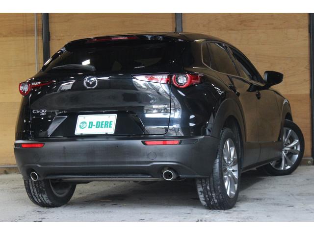 ＣＸ－３０ ２０Ｓ　プロアクティブ　スマートシティブレーキサポート　マツダコネクト　ＴＶ　ドラレコ　ブラインドスポットモニタリング　Ｂｌｕｅｔｏｏｔｈ　パワーバックドア　オートクルーズ　シートヒーター　ＥＴＣ　Ａハイビーム　パワーシート（10枚目）