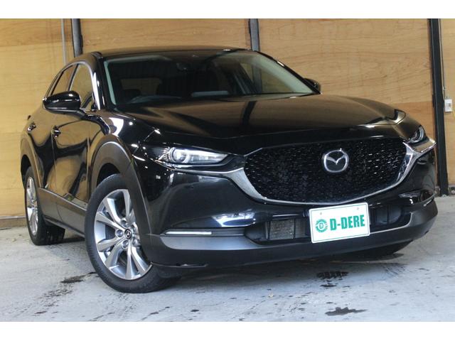 ＣＸ－３０ ２０Ｓ　プロアクティブ　スマートシティブレーキサポート　マツダコネクト　ＴＶ　ドラレコ　ブラインドスポットモニタリング　Ｂｌｕｅｔｏｏｔｈ　パワーバックドア　オートクルーズ　シートヒーター　ＥＴＣ　Ａハイビーム　パワーシート（28枚目）