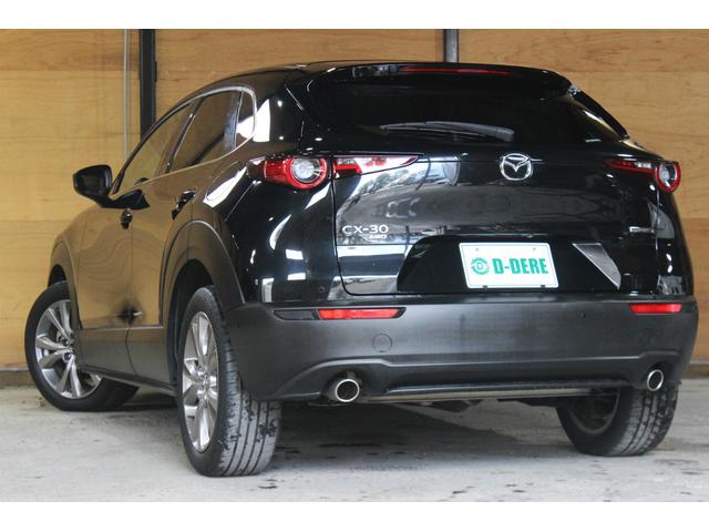 ＣＸ－３０ ２０Ｓ　プロアクティブ　スマートシティブレーキサポート　マツダコネクト　ＴＶ　ドラレコ　ブラインドスポットモニタリング　Ｂｌｕｅｔｏｏｔｈ　パワーバックドア　オートクルーズ　シートヒーター　ＥＴＣ　Ａハイビーム　パワーシート（35枚目）