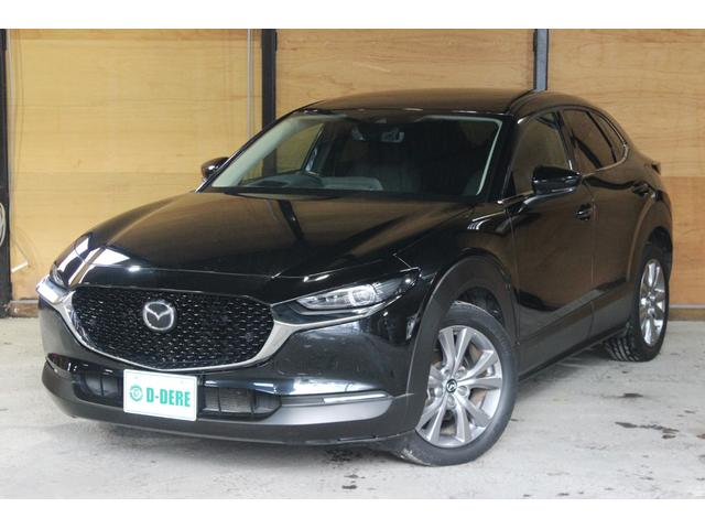 ＣＸ－３０ ２０Ｓ　プロアクティブ　スマートシティブレーキサポート　マツダコネクト　ＴＶ　ドラレコ　ブラインドスポットモニタリング　Ｂｌｕｅｔｏｏｔｈ　パワーバックドア　オートクルーズ　シートヒーター　ＥＴＣ　Ａハイビーム　パワーシート（66枚目）