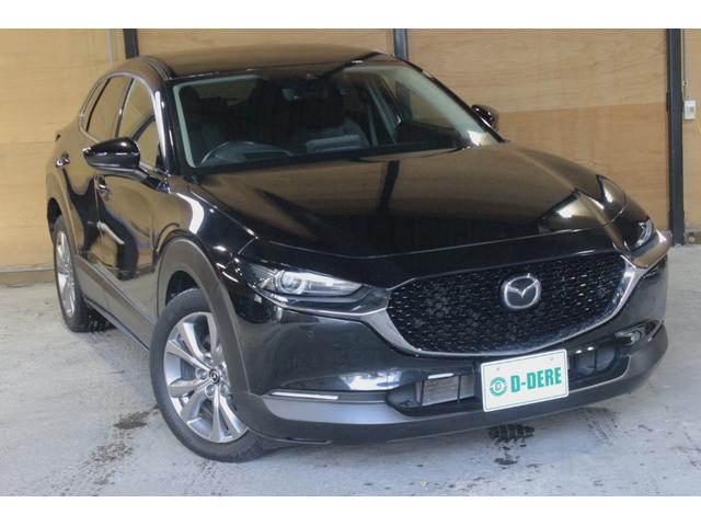 ＣＸ－３０ ２０Ｓ　プロアクティブ　スマートシティブレーキサポート　マツダコネクト　ＴＶ　ドラレコ　ブラインドスポットモニタリング　Ｂｌｕｅｔｏｏｔｈ　パワーバックドア　オートクルーズ　シートヒーター　ＥＴＣ　Ａハイビーム　パワーシート（67枚目）