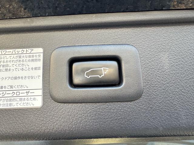 アルファード 2.5S Cパッケージ 4WD 両側パワースライドドア オートハイビーム ナビ&TV Bluetoothオーディオ 寒冷地 パワーシート スマートキー パワーバックD レザー Bモニター シートヒータ LED シートエアコン(63枚目)