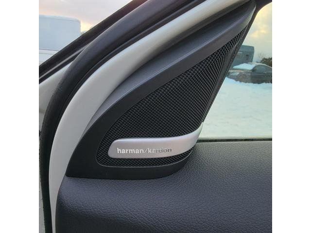 Ａクラス Ａ４５　ＡＭＧ　４マチック　４マチック・革シート・ブラインドスポットモニター・バックカメラ・クルーズコントロール・エアコン・パワステ・パワーウインドウ（29枚目）