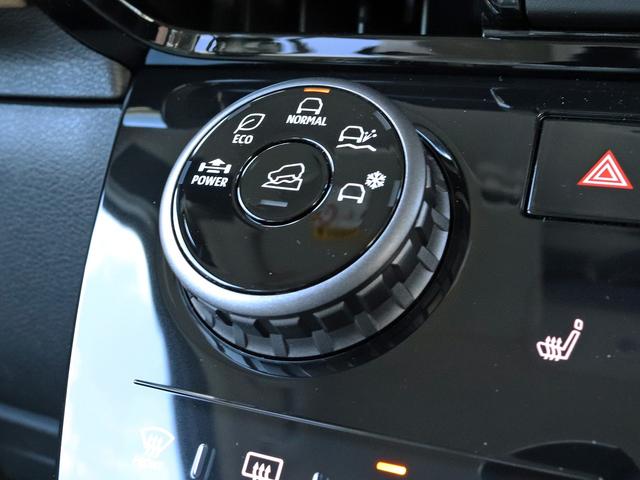 デリカミニ Ｔ　プレミアム　届出済未使用車　寒冷地プラスＰＫＧ　９インチディスプレイＯＤ　全周囲カメラ　ｅアシスト　マイパイロット　２トーンカラー　７インチ液晶メーター　両側パワスラ　シートヒーター　リアサーキュレーター　フォグ（39枚目）