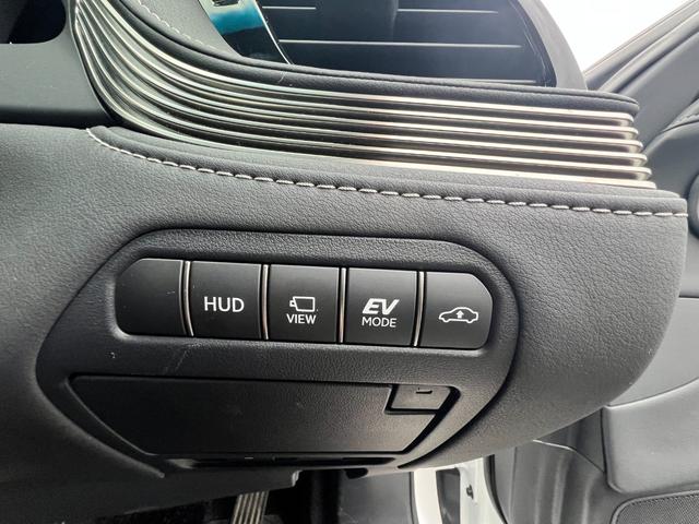 LS LS500h Iパッケージ(19枚目)