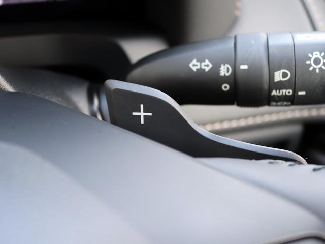 ヴェルファイアハイブリッド Ｚ　プレミア　１４型ディスプレイオーディオ　フリップダウンモニター　黒革エグゼクティブ　左右独立ムーンルーフ　デジタルインナーミラー　トヨタチームメイト　シートエアコン　セーフティセンス　全周囲カメラ（54枚目）