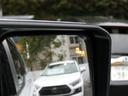 TOYOTA LAND CRUISER 250